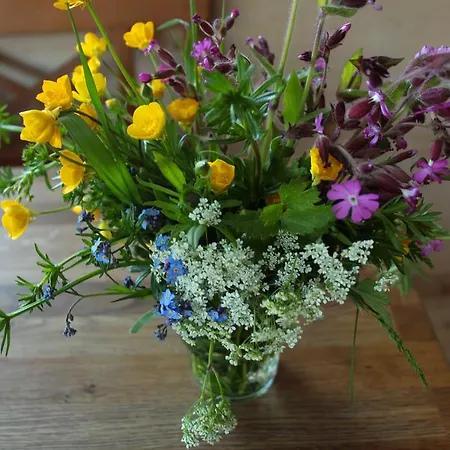 Πανσιόν Europa Tirol Fliess